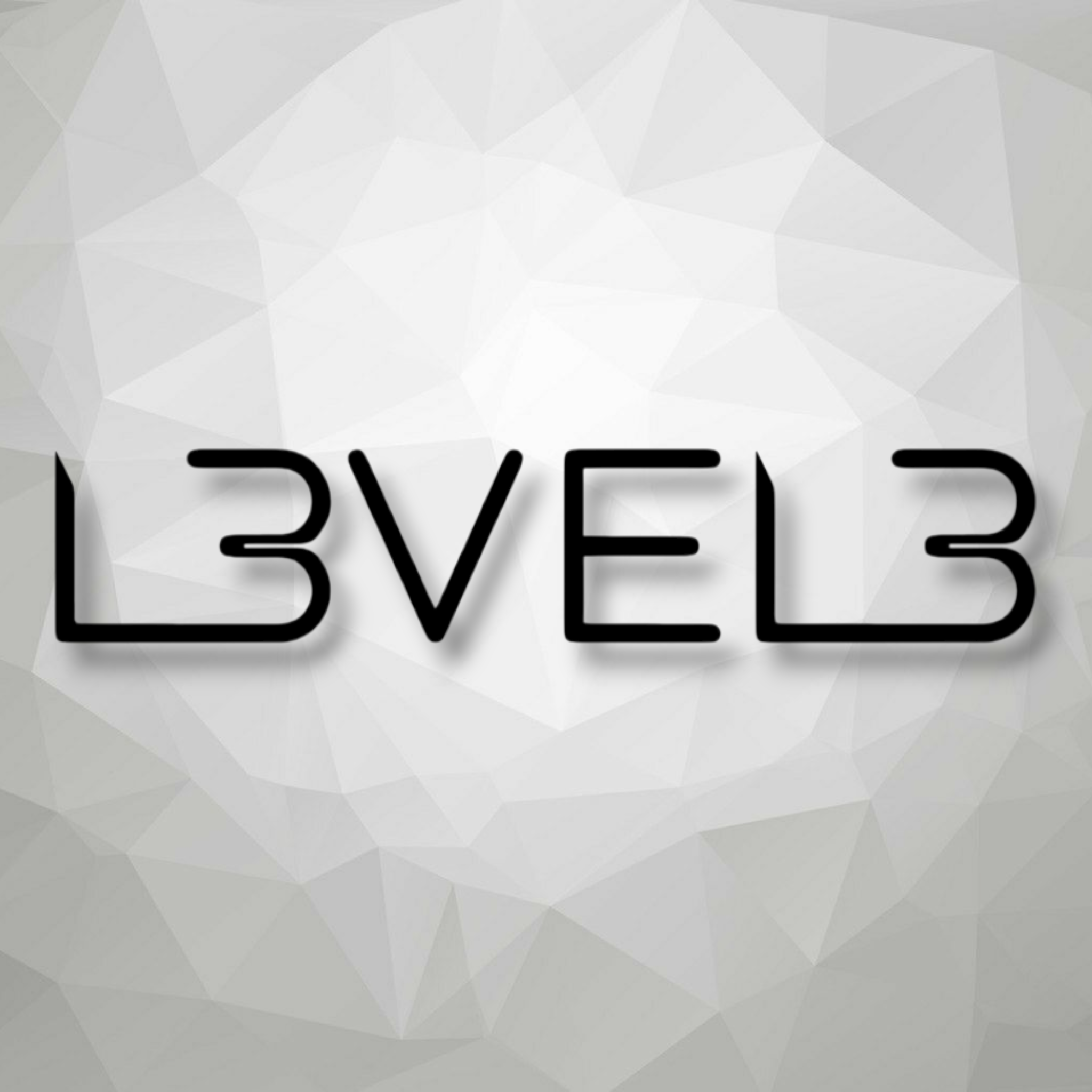 Level 3