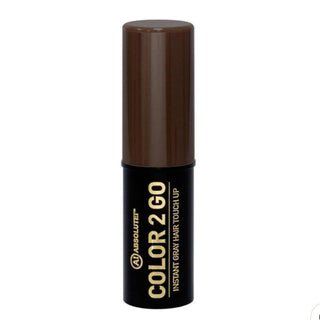 ABSOLUTE NY COLOR 2 GO TOUCH UP STICK - Han's Beauty Supply