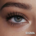 POPPY & IVY MICRO MAGNETIC LASH & LINER SET (SIGMA + STAR) - Han's Beauty Supply