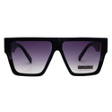 N.Y. Sunglasses (#8204)