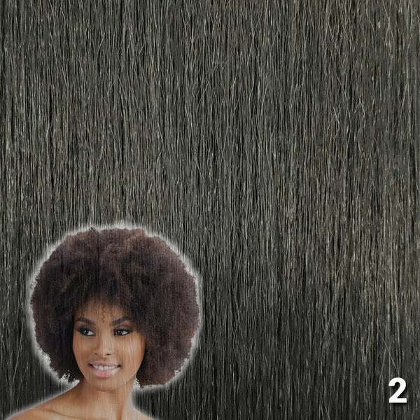 AfroBeauty Victoria's Wig - Style: Afro Wig